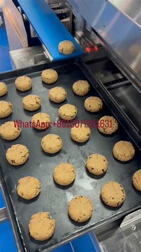 Summer Tong on Instagram: "Automatic chocolate chips cookie forming production line #chocolate chips cookie maker equipment #cookie machine #encrusting machine #automatic cookie tray loader machine #bakery machine"