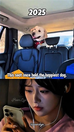 Every Car Ride Reminds Me of Him 💔 #algorithm #dog #shorts