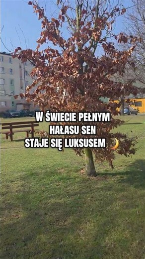 W świecie hałasu... #bezsennosc #bezsenność #sen #sny #dobrysen #shorts