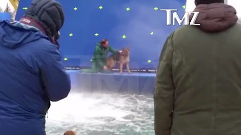 'A DOG'S PURPOSE' TERRIFIED GERMAN SHEPHERD FORCED INTO TURBULENT WATER