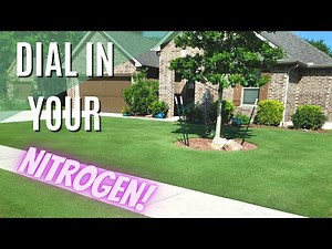 Lawn Care Nitrogen Rate: You Think It Really Matters Or Not One Bit?