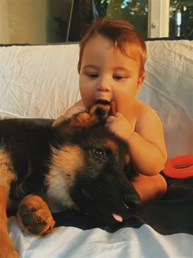 Meilleur compagnon d'enfants : les animaux de compagnie