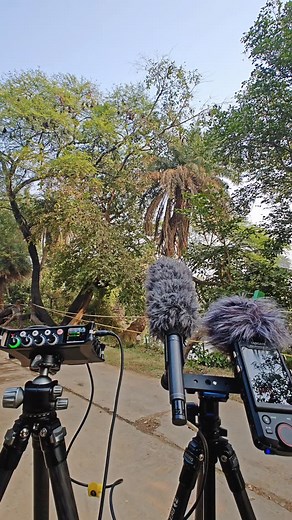 The most fascinating sounds today were the bat sounds at Bharatpur bird sanctuary, but unfortunately it's also the most difficult sound to capture as the bat sounds can range from 20hz to 200k hz, while the prosumer mics and recorders can only record up to 40khz, and out of that human can only hear upto 20khz | Rajiv Kumar Bharat