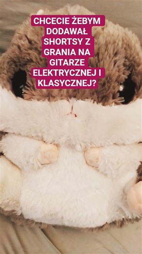 Chomik się pyta czy chcecie zobaczyć granie na Gitarze elektrycznej i klasycznej 😊😄😁 #funny