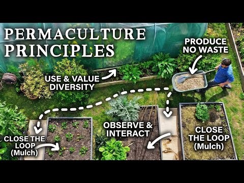 Nature Already Solved Farming — Here’s the Proof | Permaculture (Simplified):