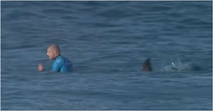 World Champion surfer courageously fights off shark during competition