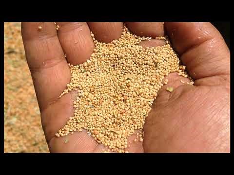 CKLA Unit 8 Lesson 2 Read Aloud: Changing Ways of Life