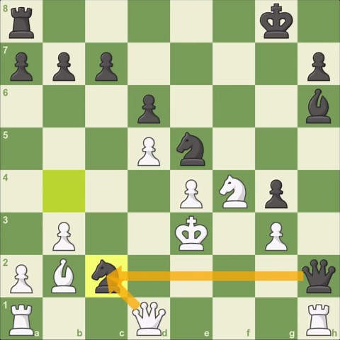 Polugaevsky vs Nezhmetdinov: Games Of The 1950s