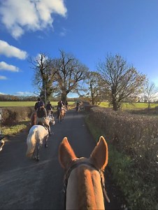 7.5K views · 1.5K reactions | Morning, Eventful Riders ! Grab...