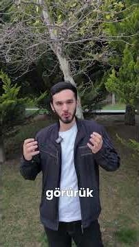 Array test bankı çətindir? #abituriyent #informatika #array