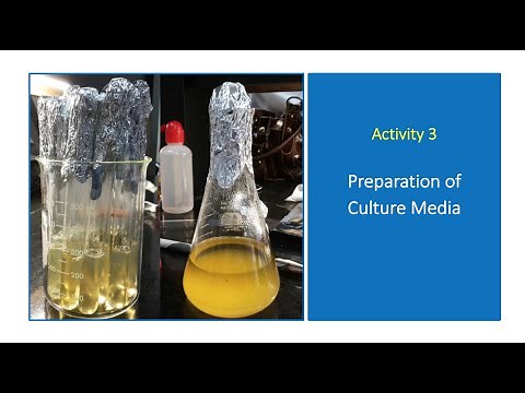 Activity 3. Preparation of Culture Media