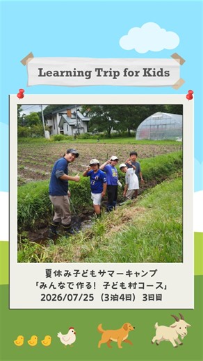 2026年8月12日