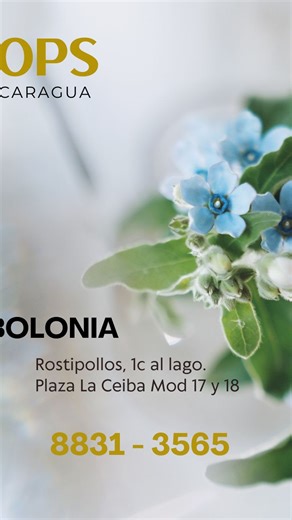 128 reactions · 5 comments | Bolonia es nuestra tienda de colores claros, estampados florales y tejidos orgánicos, todos perfectos para tu evento de día. Pide el catálogo a nuestro WhatsApp 8831 3565 o visita la tienda Bolonia, Rostipollos 1 al norte | Tops Nicaragua | Facebook