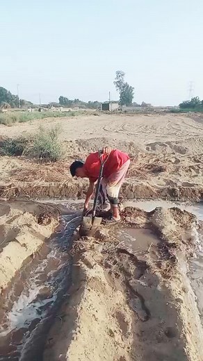 Manual Labor in Rural Agriculture Settings