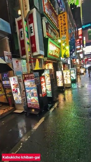 Kabukicho Ichiban-gai, the so-called red-light district in Tokyo