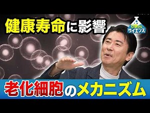 Extending healthy lifespan!? Developing a "method to treat aging"! Toru Minamino (Professor, Depa...