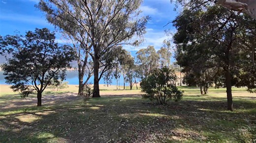 19 reactions · 4 comments | Pines Campground nsw | Dave's & Kerrie's Camping & Trips. | Facebook