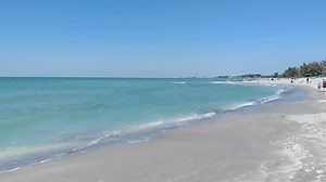 80K views · 1.9K reactions |  Turtle Beach ❤️ | Siesta Key | Facebook