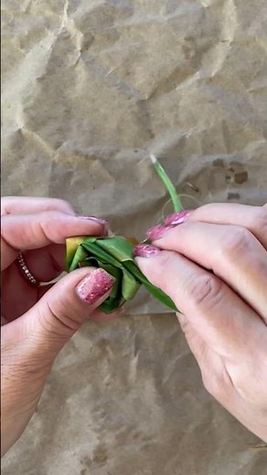 Beautiful ti leaf roses you can use in making lei poʻo (head lei). See description for full tutorial