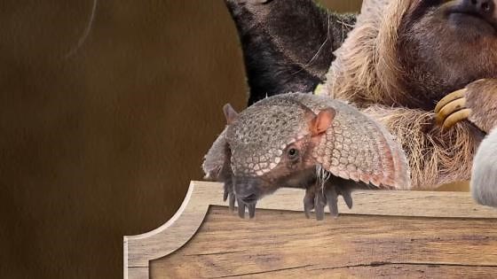 Jurassic World and the myths it spread about dinosaur behavior