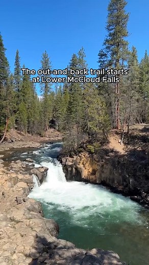 See three stunning waterfalls on one EPIC day hike in Discover Siskiyou! 🥾 The five-mile McCloud River Trail winds through a canyon of basalt lava rock as it passes three towering falls. 😮 Start at Lower Falls, then hike the River Trail upstream to the other falls. You can also drive to each waterfall instead of hiking. 🚗 📍UpstateCA 📷 @thetravelingdans on IG 🎵 @darlingwest on IG, @unitedmasters | Visit California