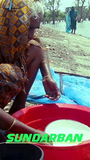 Foresters of Sundarbans -2 #shorts