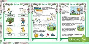 Let's Learn About Spring Fact File