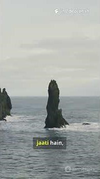 Tectonic Plates Explained in 60 Seconds