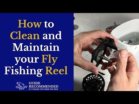 How to clean and maintain a fly reel