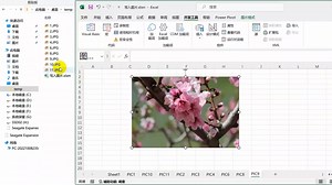 Excel-VBA应用（14）：批量插入图片到指定名称的工作表中