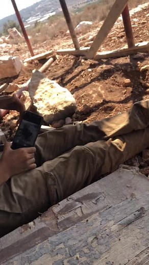 Exploring Life at a Construction Site
