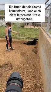 8K views · 146 reactions | Sarah Fink - SmartCommunication on Reels | Facebook