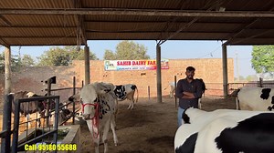 4K views · 311 reactions | Malwa Farmhouse on Reels | Facebook