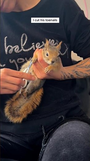 A trapped squirrel was moments from dying… we rescued it just in time