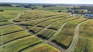 Contour Farming is a practice that involves performing farming across a field's slope. This includes tilling, planting, and cultivation. Contour farming is most effective for reducing soil erosion.