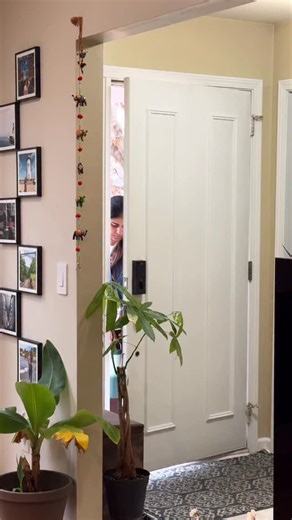 Shalinni 🌸 on Instagram: "Mid Week Routine✨: Degrease cabinet for oil settlements and Raagi Adai for meal🌸🤌🏻 #raagiadai #routines"