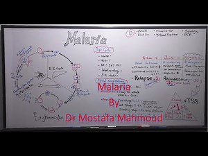 Malaria (Plasmodium)
