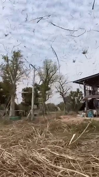 A farmer in Thailand captured the incredible moment a small wind vortex sent loose hay spiraling into the sky. 🌪️ | New York Post
