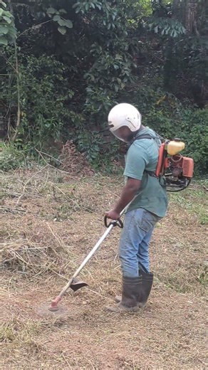 From Wild to Perfect Lawn! 🌿✨