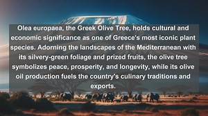 Exploring Greeces Botanical Wonders: Top 10 Native Flora