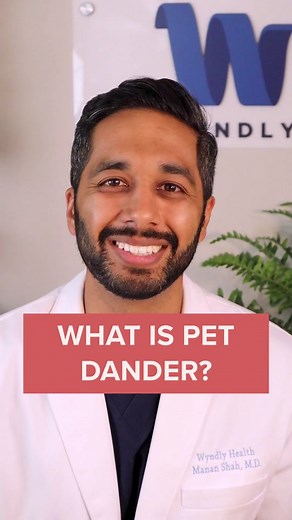 Understanding Pet Dander and Allergies