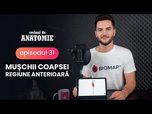 Mușchii din regiunea anterioară a coapsei @Sesiuni de ANATOMIE - ep.31