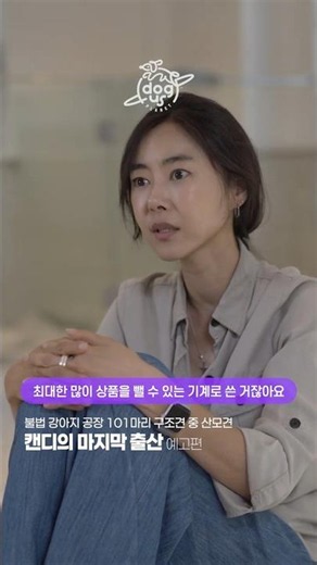 불법 번식장에서 구조된 산모견 캔디의 마지막 출산. 본편을 확인하세요