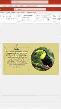 Tutorial for creating professional PowerPoint presentations using the rotate function #powerpoint