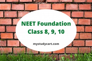 NEET Foundation Class 8, 9, 10 | Best NEET Foundation Course Online