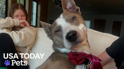 Scene outside Walmart in Traverse City after mass stabbing leaves 11 injured