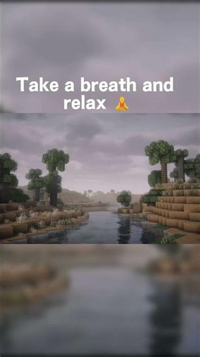 The ultimate relaxation clip for Java Minecraft lovers 🧘