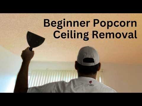 It’s Easier Than You Think! Goodbye Popcorn Ceiling Texture!