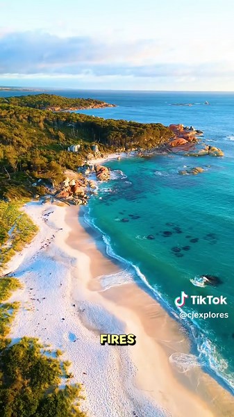 Explore Tasmania: Top Destinations for Your Road Trip