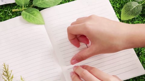 16 Sheets Rub on Transfers for Crafts and Furniture Dragonfly Rub on Transfers Stickers Classic Bird Floral Butterfly Decals for Home Office Paper Wood DIY Craft, 5.9 x 5.9 Inch